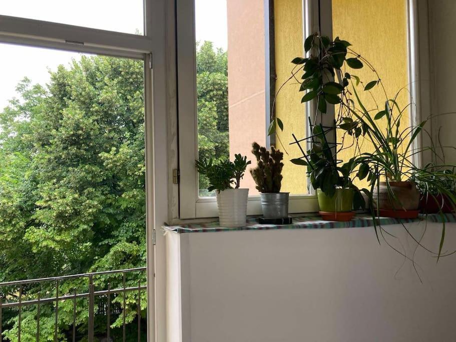Apartmán Oh Lola! Bělehrad Exteriér fotografie