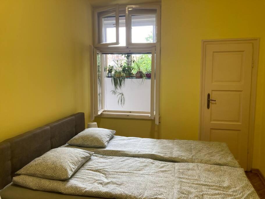 Apartmán Oh Lola! Bělehrad Exteriér fotografie